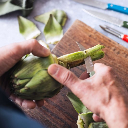 Opinel - No 114 couteau à légumes bec d'oiseau SAUGE paysage