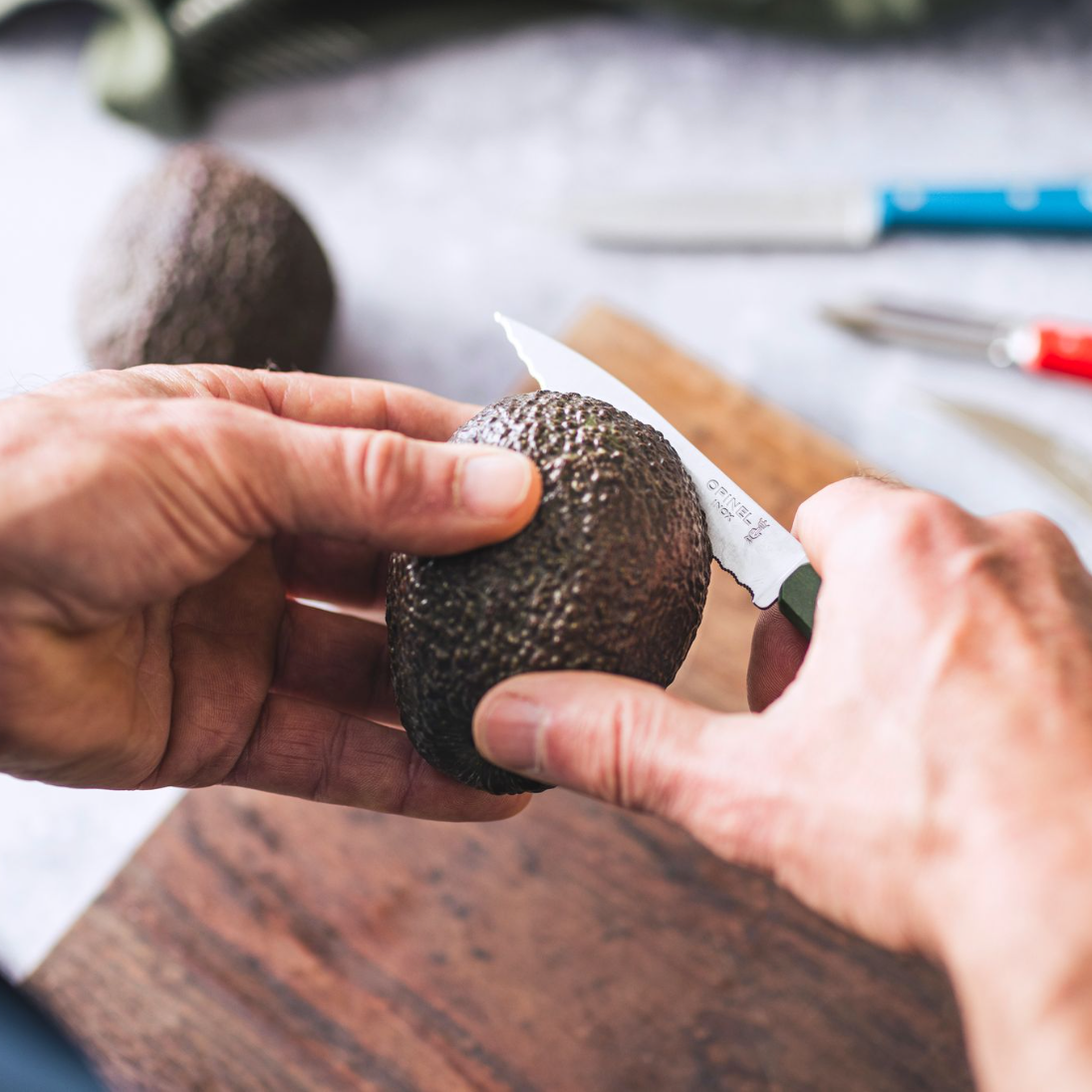 Opinel No 113 Couteau d'office cranté KAKI paysage