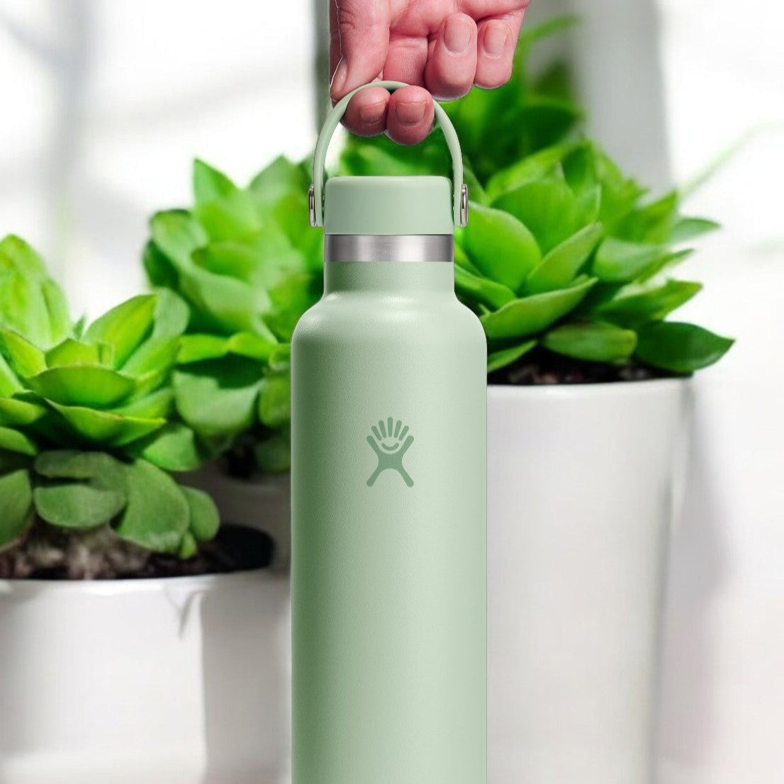 Hydro Flask 24oz à goulot standard Flex ALOÈS