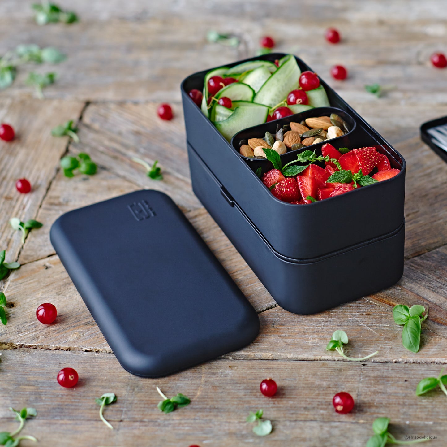 The MONBENTO MB Original lunch box and sauce pots set BLACK onyx