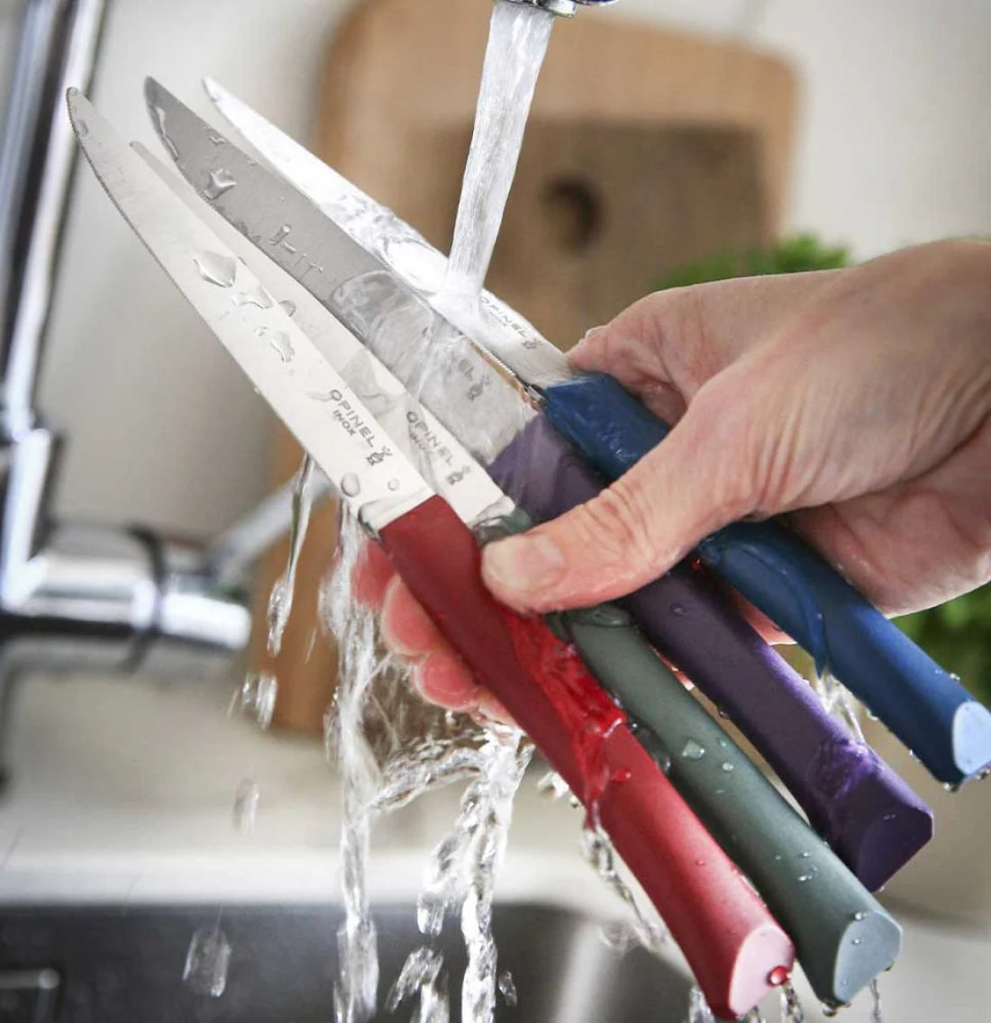 Opinel - Coffret Bon Appétit + 4 couteaux de table - Glam