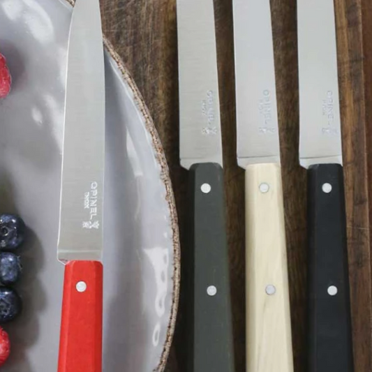 Opinel - Bon Appétit box set of 4 table knives - COUNTRY SPIRIT