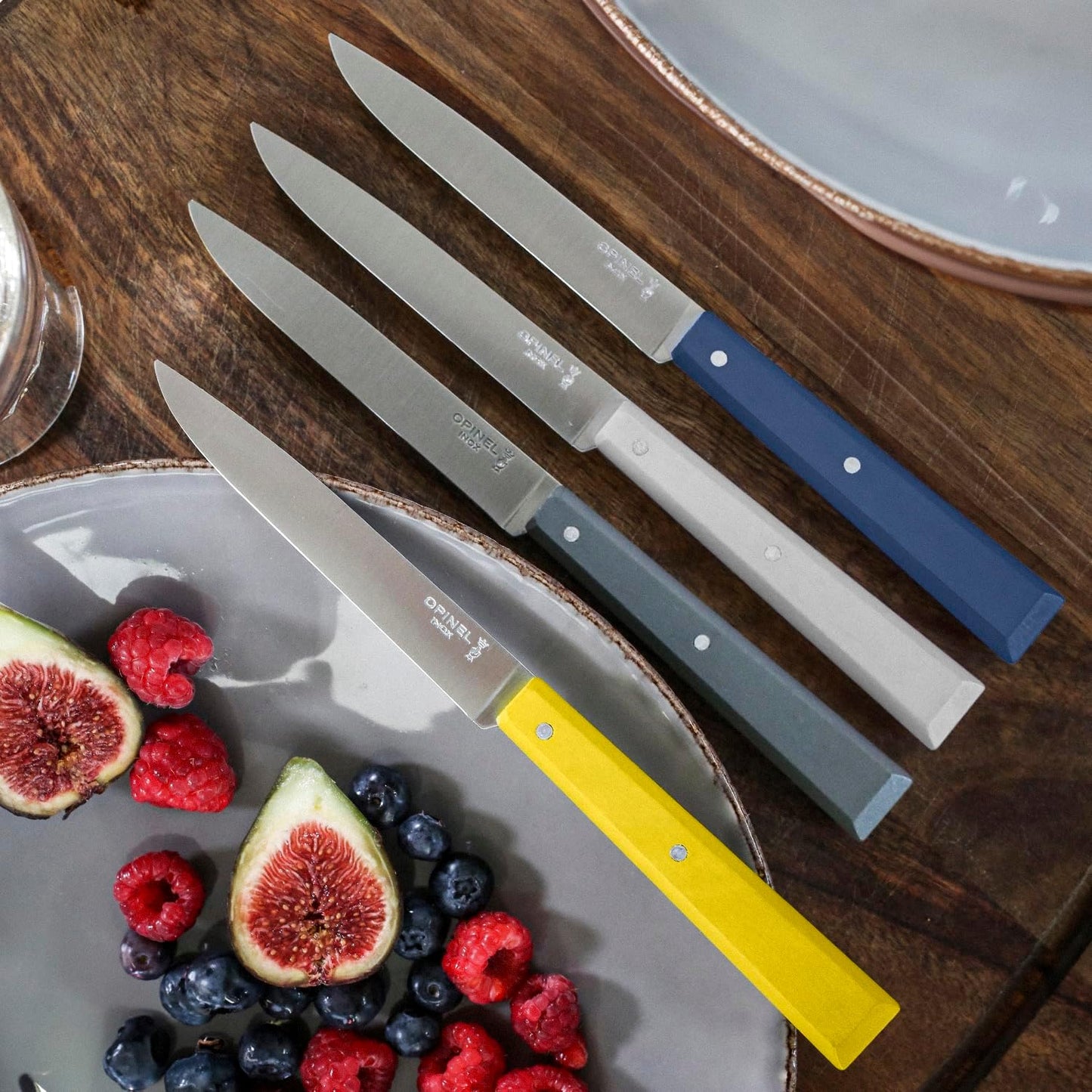 Opinel - Coffret Bon Appétit 4 couteaux de table CELESTE