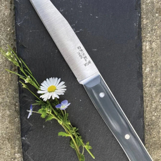 Opinel - Coffret de 4 couteaux de table Facette ecomatériel ARDOISE