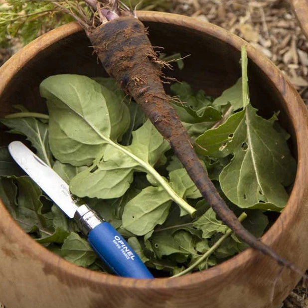 Opinel - Couteau N°07 Mon premier Opinel BLEU