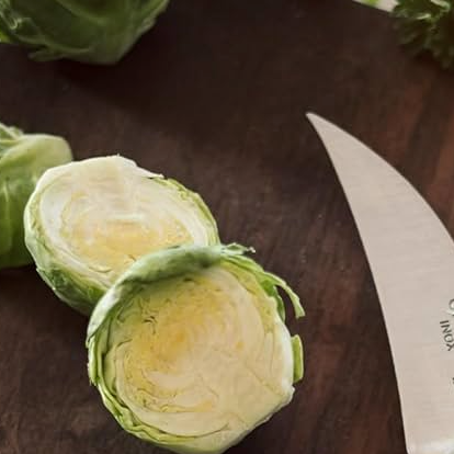 Opinel - No 114 couteau à légumes bec d'oiseau BLEU paysage