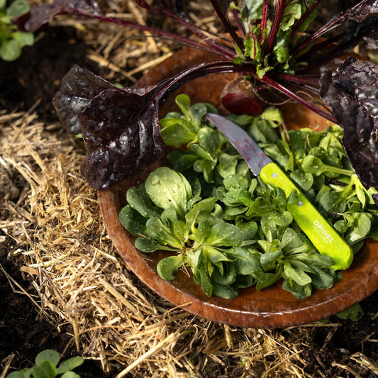 Opinel - No 114 couteau à légumes bec d'oiseau vert POMME