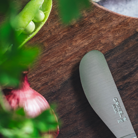 Opinel - No 117 couteau Tartineur BLEU paysage