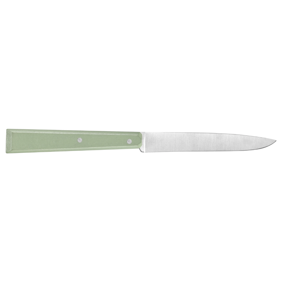 Opinel - Bon Appétit Box Set - 4 Table Knives No. 125 - Sage