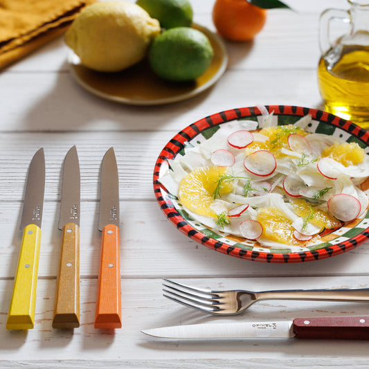 Opinel - Coffret Bon Appétit - 4 Couteaux de table No 125 - Agrumes