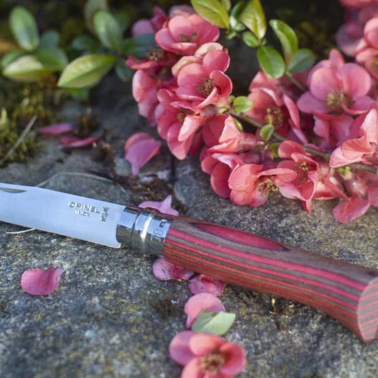 Opinel - Couteau de poche Nº08 Bouleau Lamellé Rouge