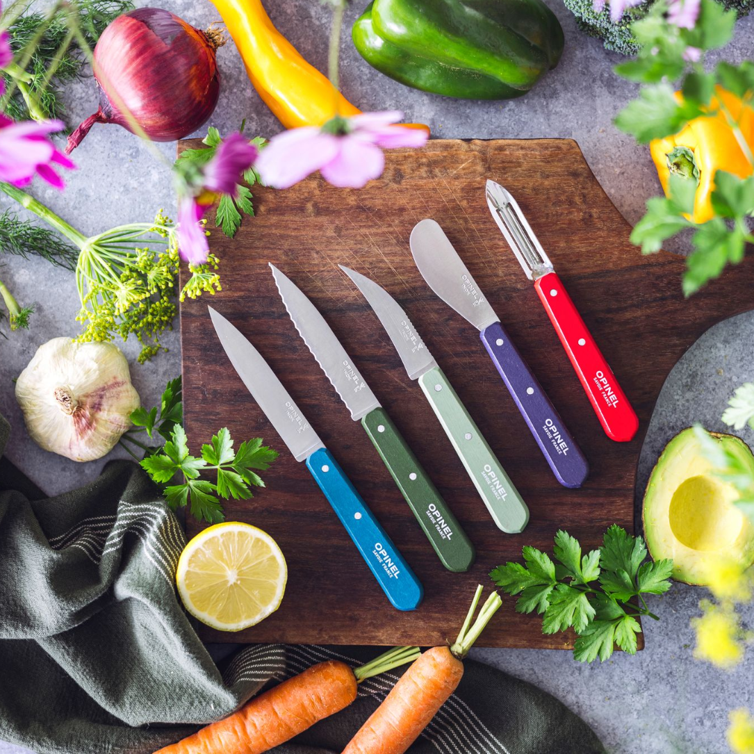 Opinel No 113 Couteau d'office cranté BLEU paysage