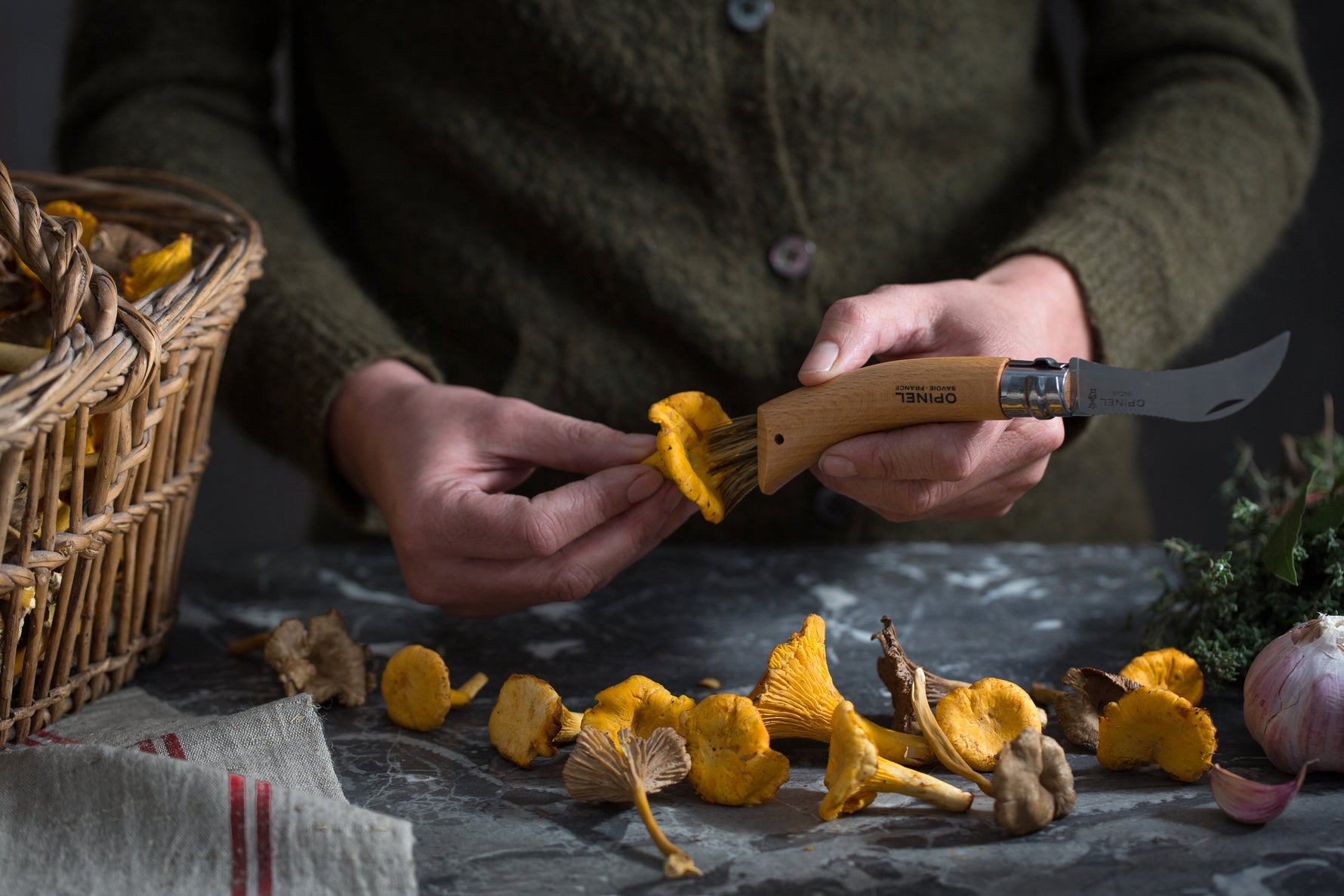 La cueillette des champignons