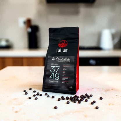 Specialty Coffee - Alt. 3749 Washed | Finca Noemy - Costa Rica 300g