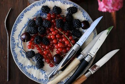 Opinel - Coffret Table Chic Mix