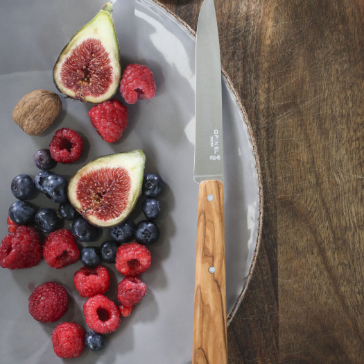 Opinel - Bon Appétit box set of 4 table knives - SUD