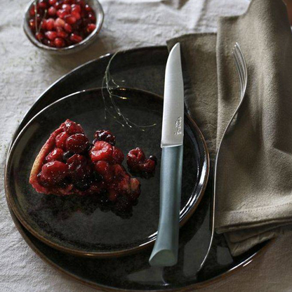Opinel - Coffret  Bon Appétit + 4 couteaux de table - Tempête