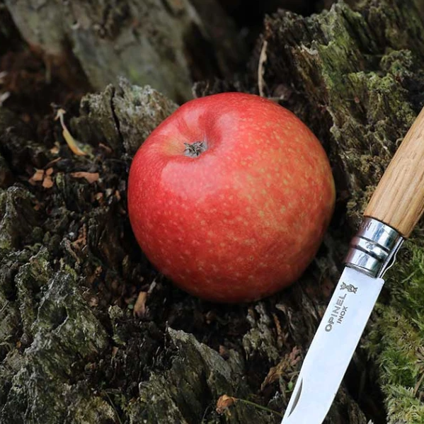 Opinel - Couteau de poche Nº 06 (Chêne)