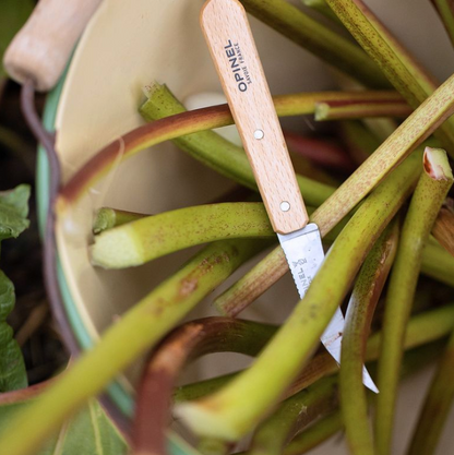 Opinel - No 114 couteau à légumes bec d'oiseau HÊTRE (Naturel)