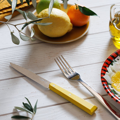 Opinel - Coffret Bon Appétit - 4 Couteaux de table No 125 - Agrumes