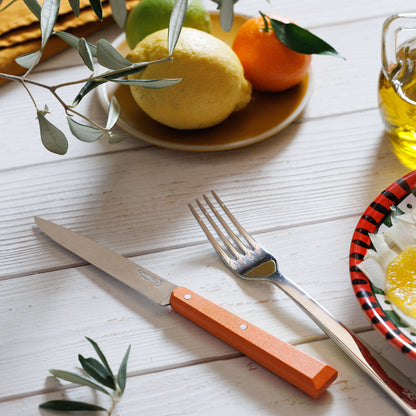 Opinel - Coffret Bon Appétit - 4 Couteaux de table No 125 - Agrumes