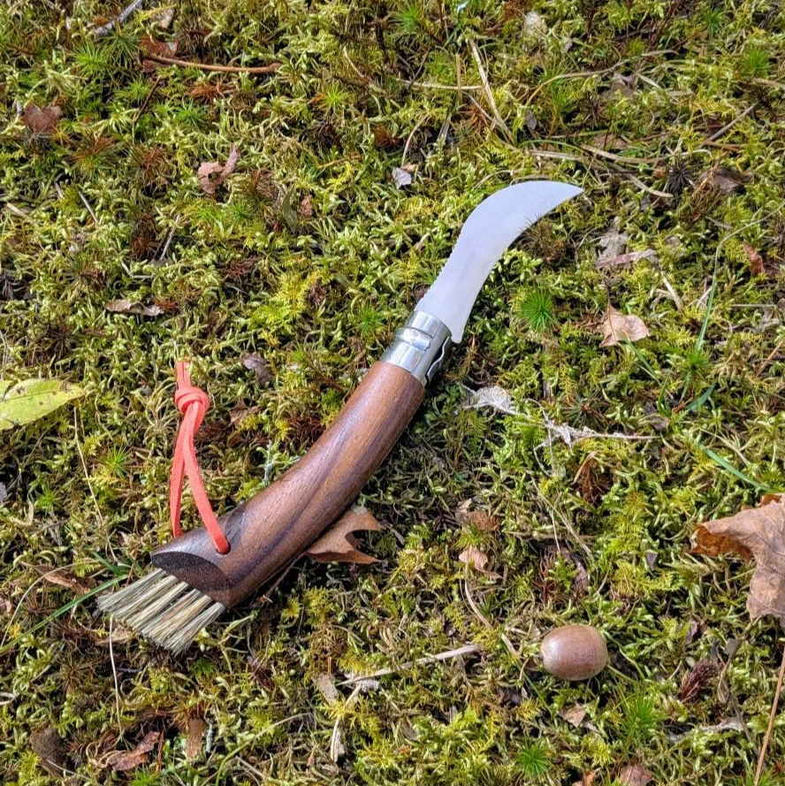 Opinel - Mushroom Knife Gift Set with Oak Handle + Large Outdoor Sheath