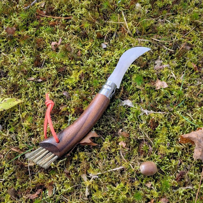 Opinel - Mushroom Knife Gift Set with Oak Handle + Large Outdoor Sheath