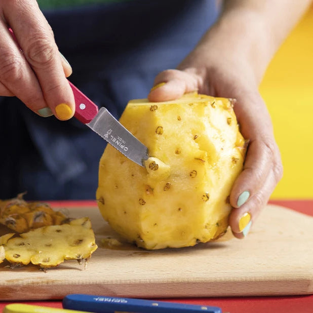 Opinel - Box of 10 stainless steel knives (closing wooden case)