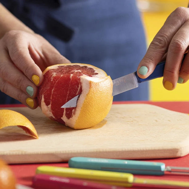 Opinel - Box of 10 stainless steel knives (closing wooden case)