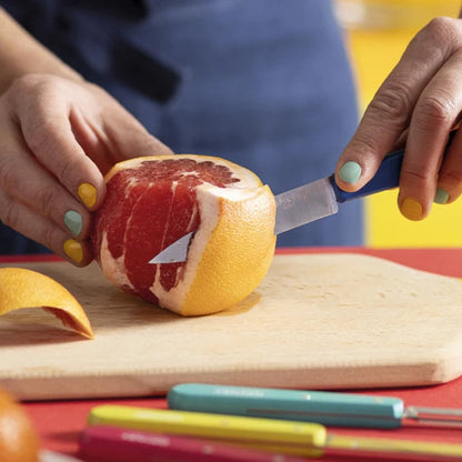 Opinel - Box of 10 stainless steel knives (closing wooden case)