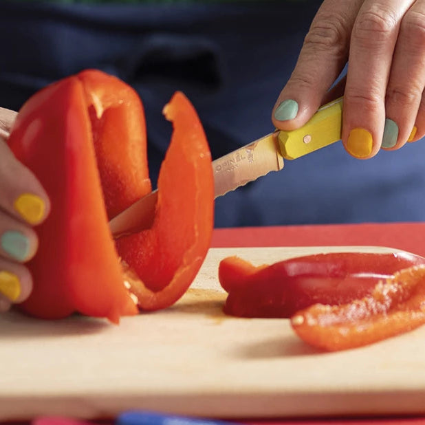 Opinel - Box of 10 stainless steel knives (closing wooden case)