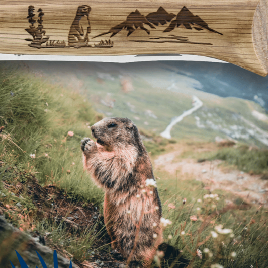 Opinel - N°08 Couteau Animalia Marmotte