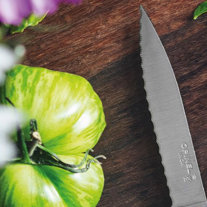 Opinel - N°113 Cranté Couteau Universel Lame Dents Fines Inox 10 cm - Les Secrets du Chef Opinel - N°113 Cranté Couteau Universel Lame Dents Fines Inox 10 cm - Les Secrets du Chef